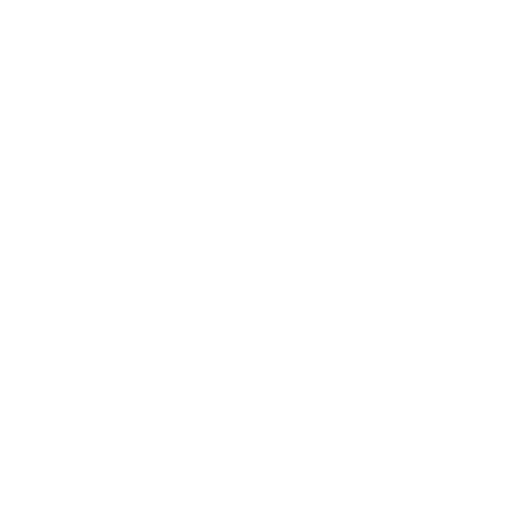The Secret Solutions